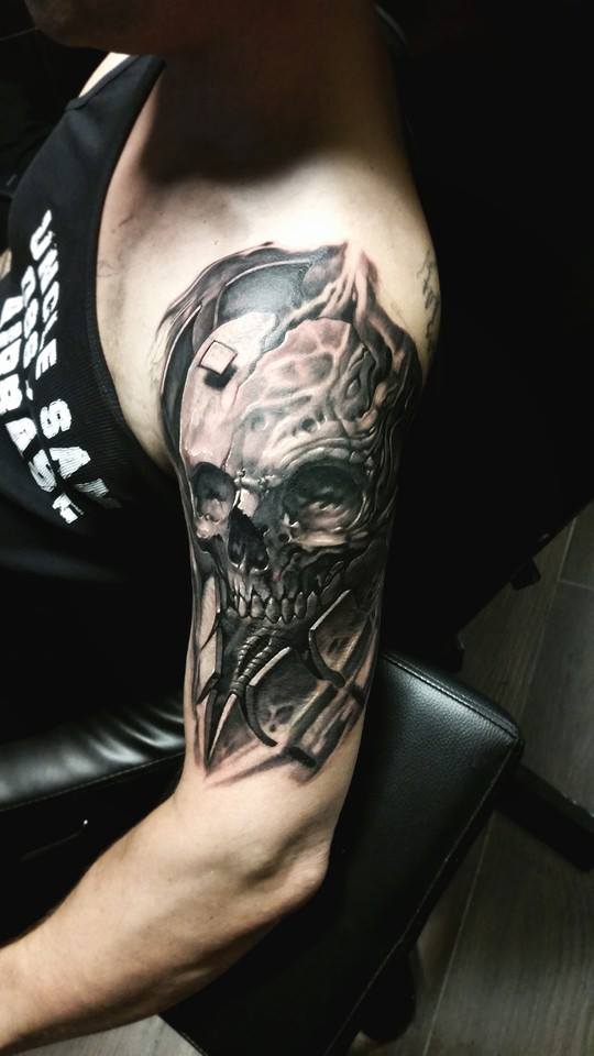 Upper Arm & Shoulder Skull